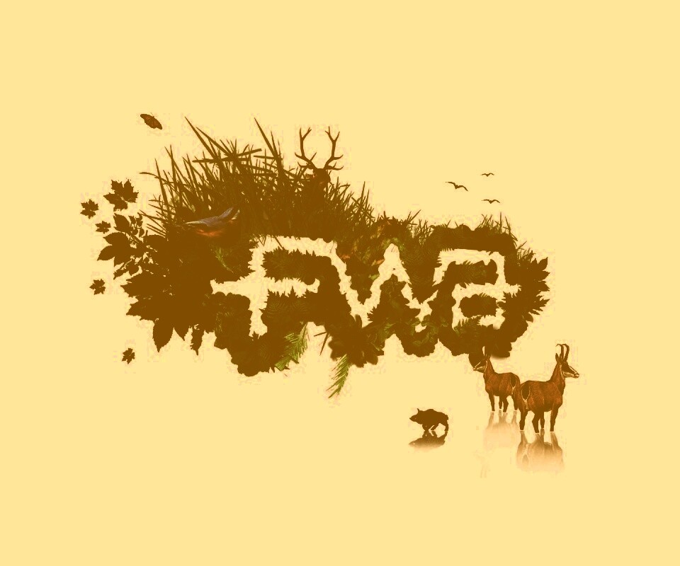 FWA обои