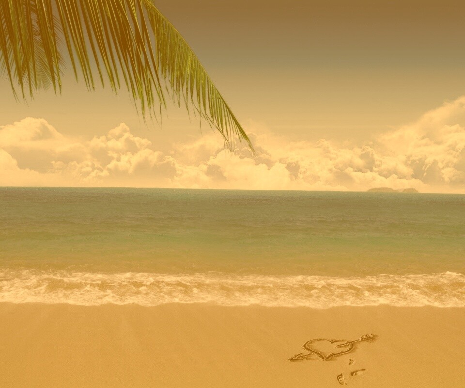 Любовь на океанском берегу обои