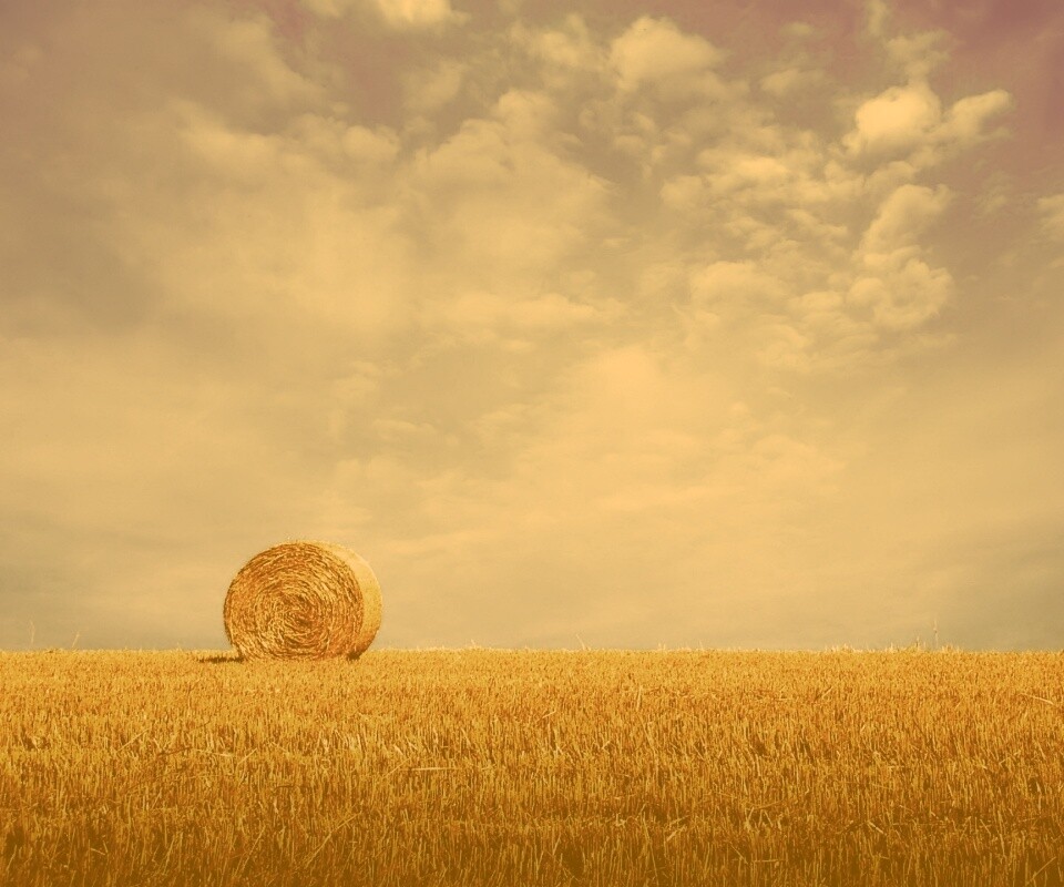 СОломеннынй рулон обои