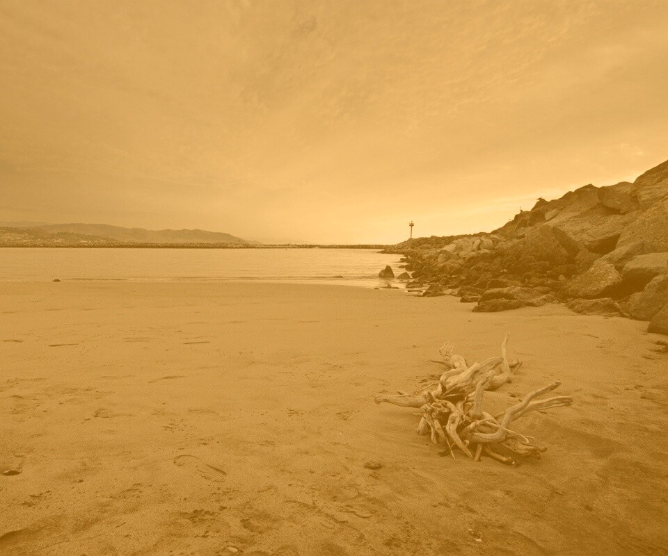 Коряга не берегу обои