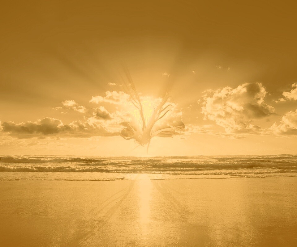 Абстрактные перья на фоне заката обои