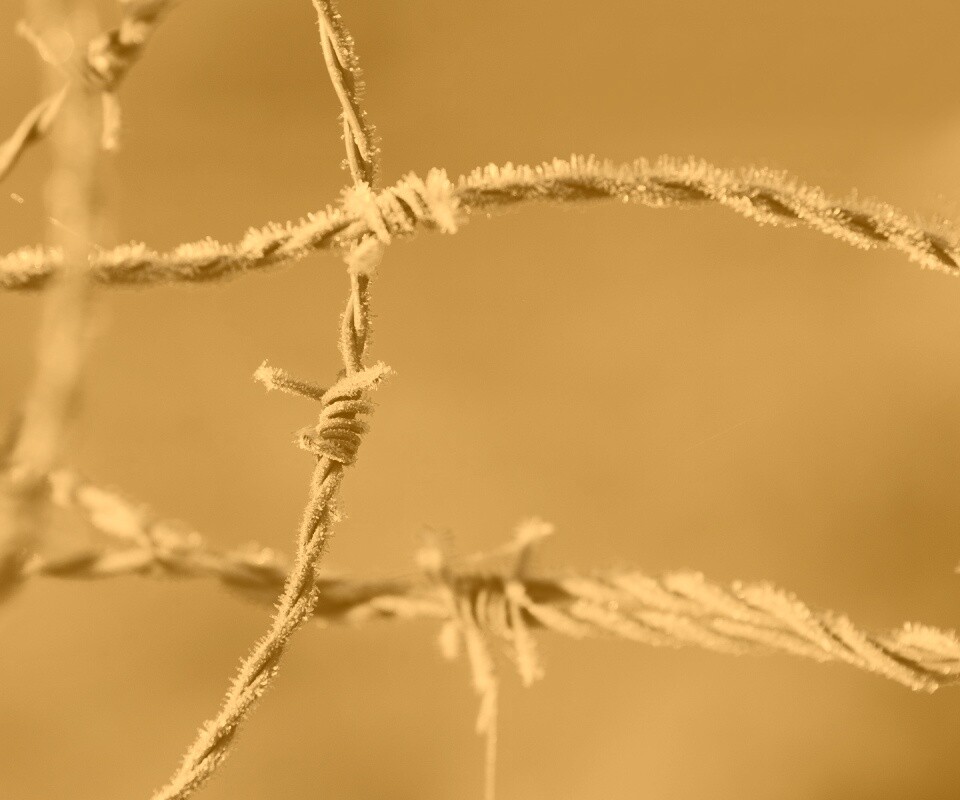 Замерзшая колючая проволока обои