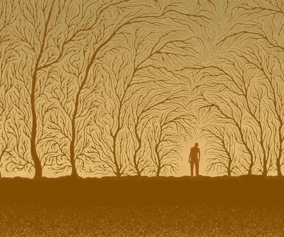 Смыкающиеся деревья обои