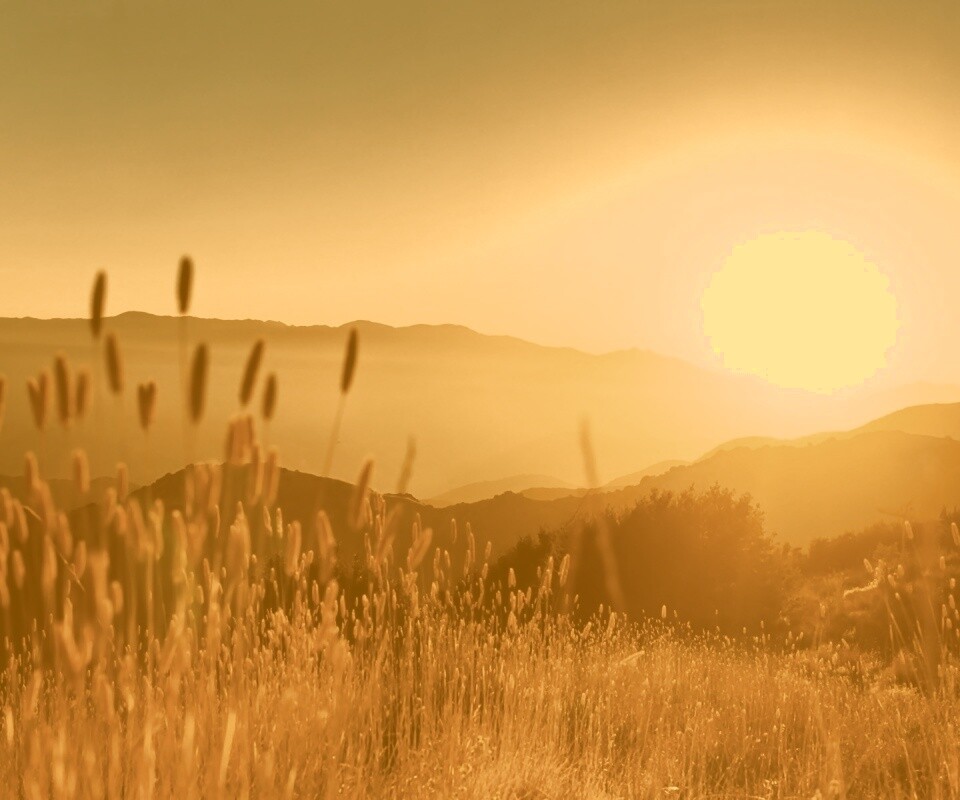 Восход над холмами обои