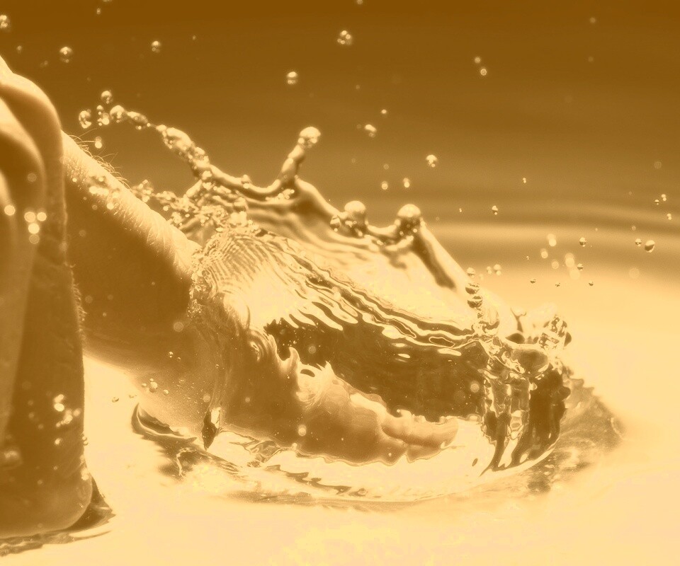 Палец в воде обои