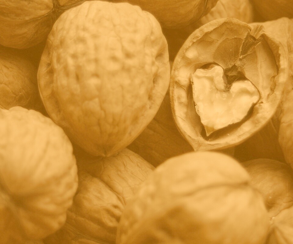 Расколотый орех обои