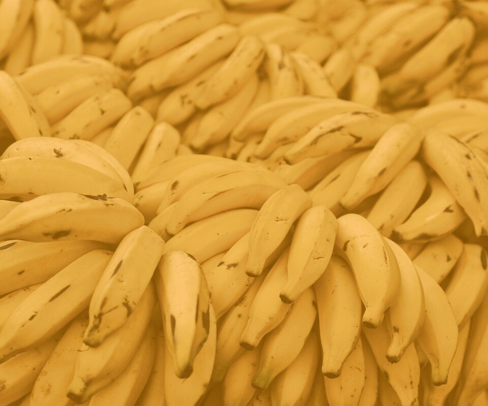 Много бананов обои