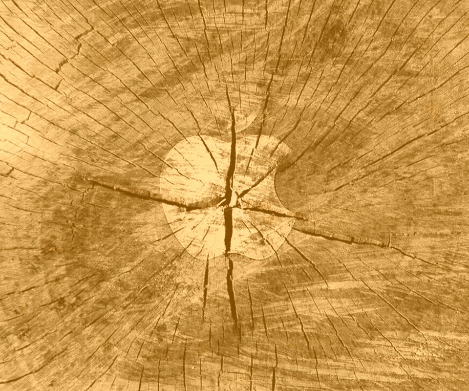 Логотип Apple на бревне обои