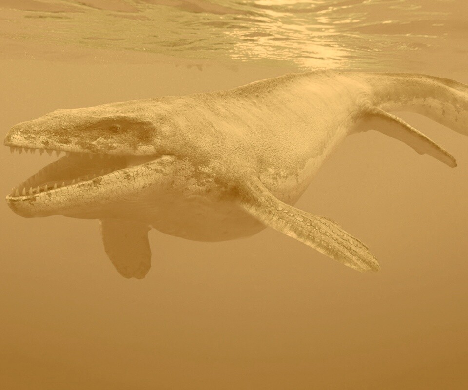 Морской динозавр обои