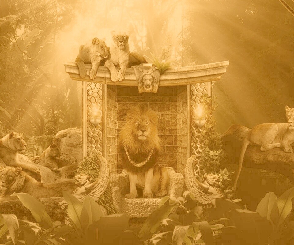 Царь зверей обои