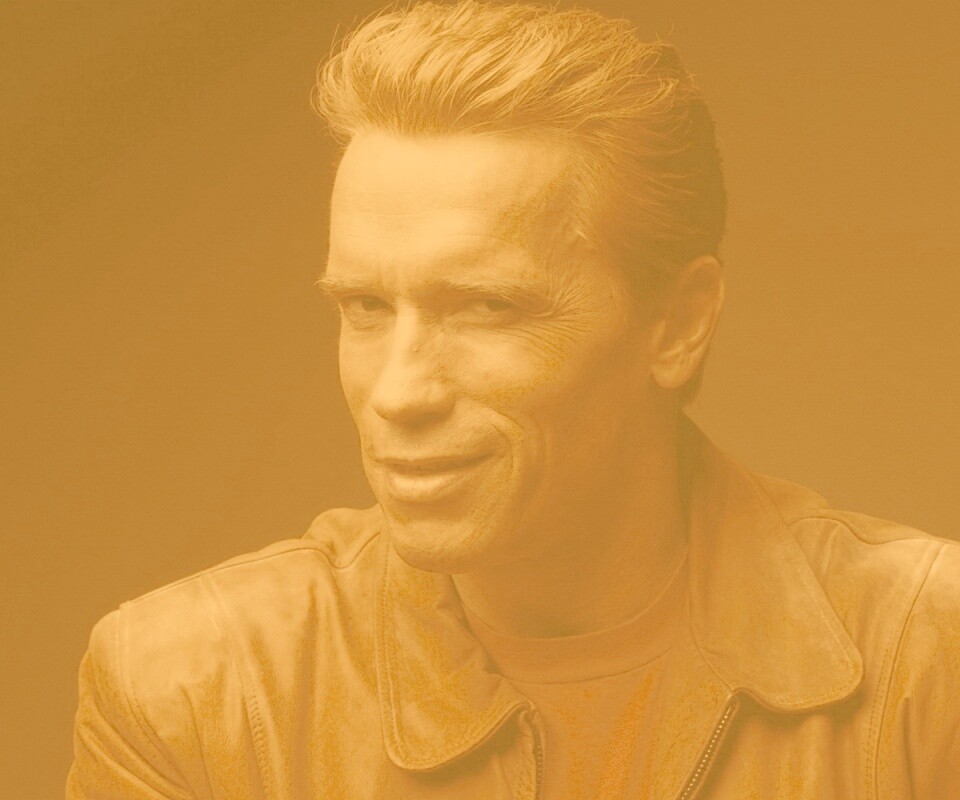 Молодой Арни обои