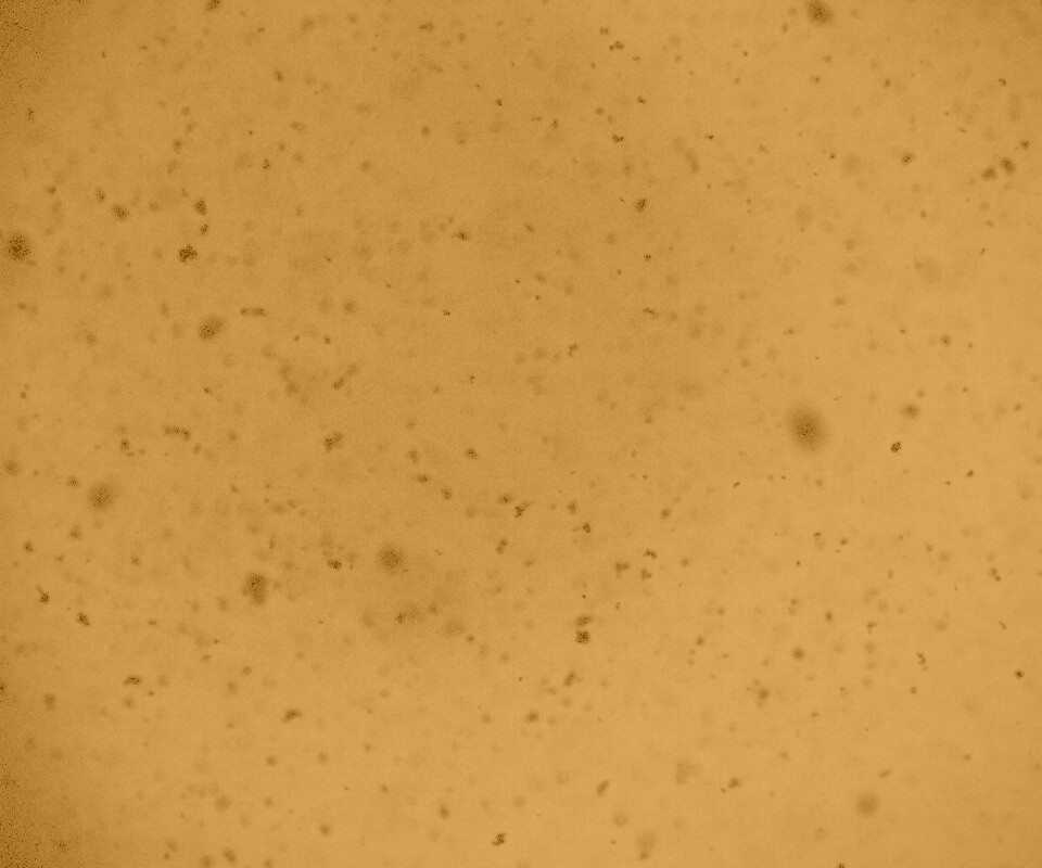 Черные пятна на сером фоне обои