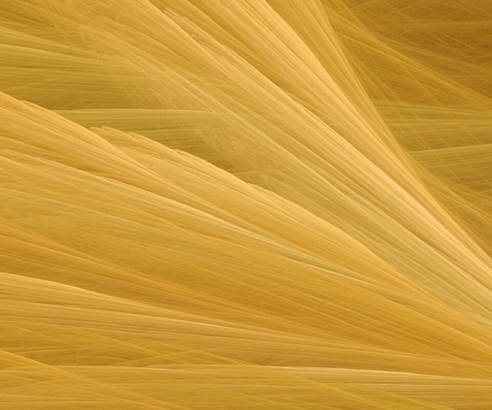 Прозрачные зеленоватые крылья обои