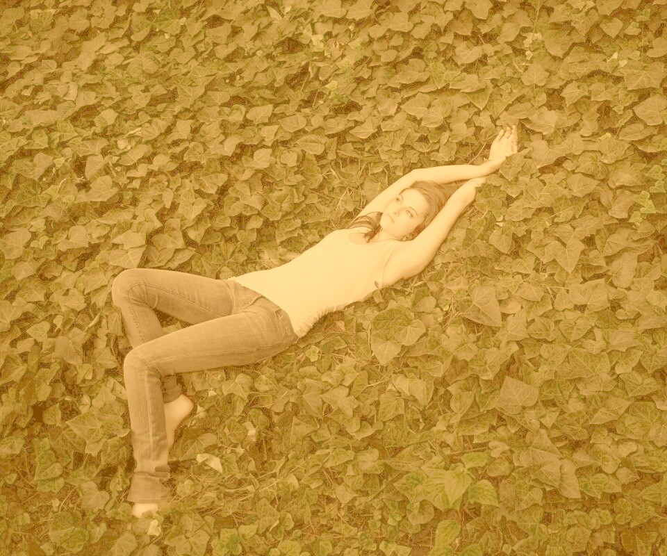 Кристен Стюарт на ковре из листьев обои