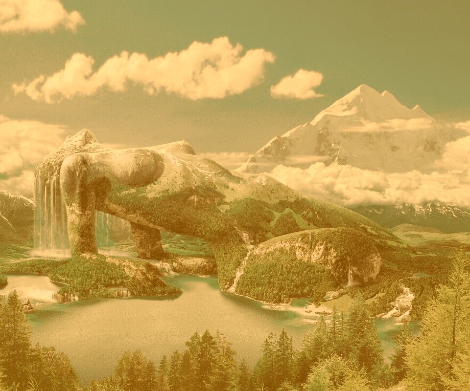 Природа обои