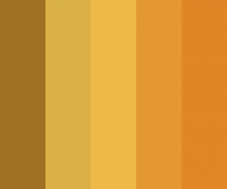 Яркая гамма обои