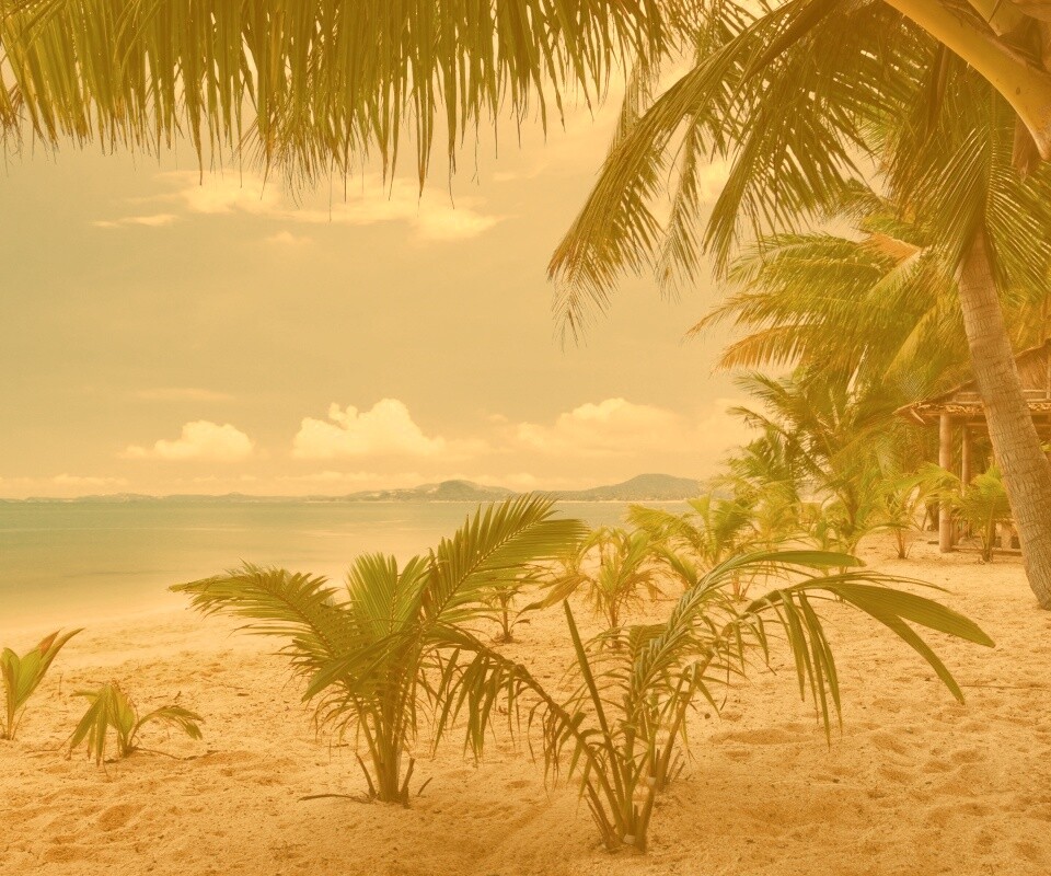 Настоящее лето обои