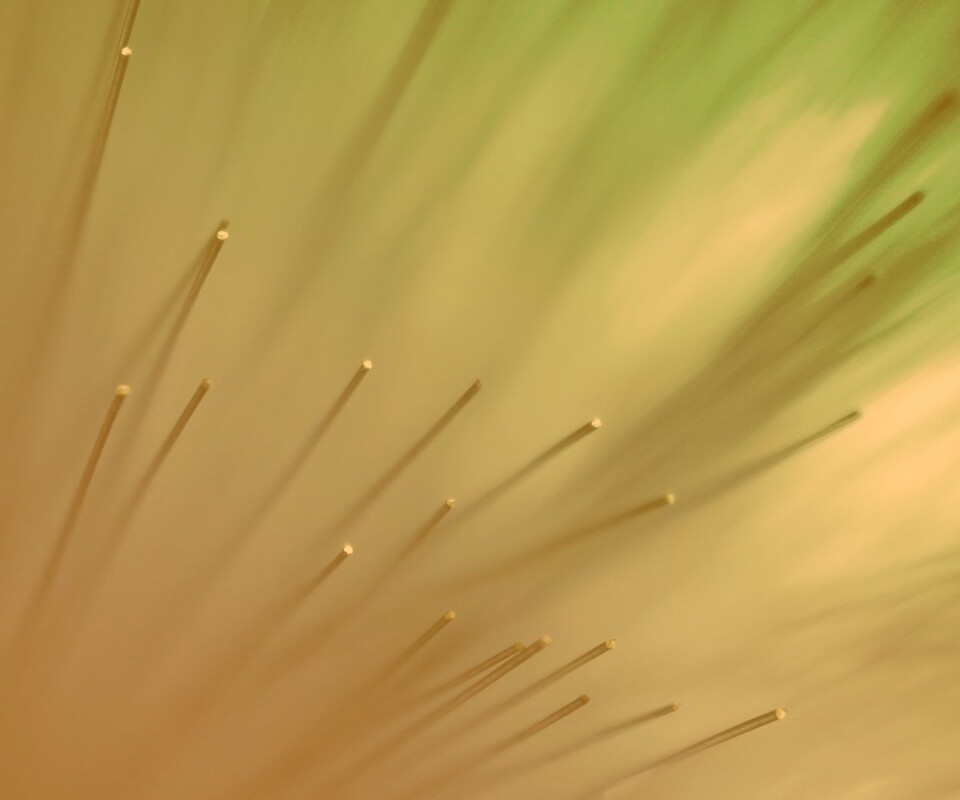 Световоды в рассеяном свете обои