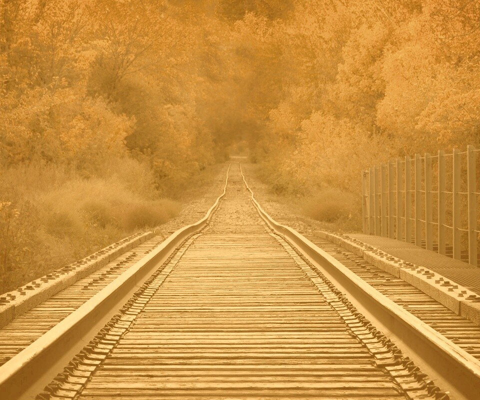 Железная дорога в осеннем лесу обои