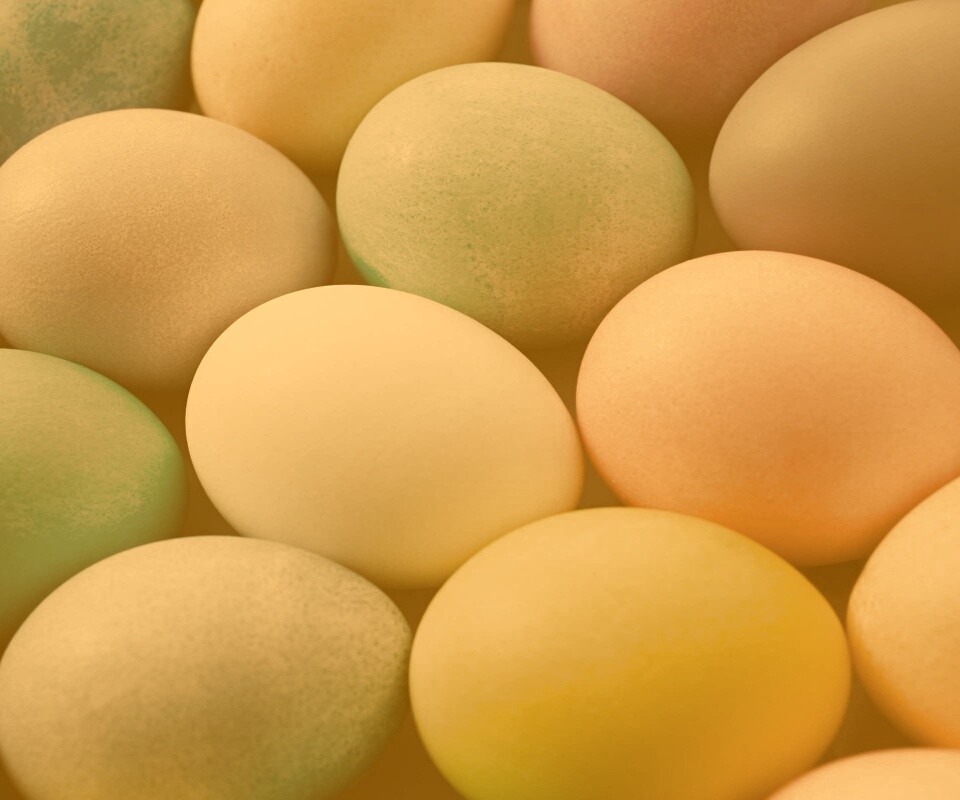 Яркие пасхальные яйца обои