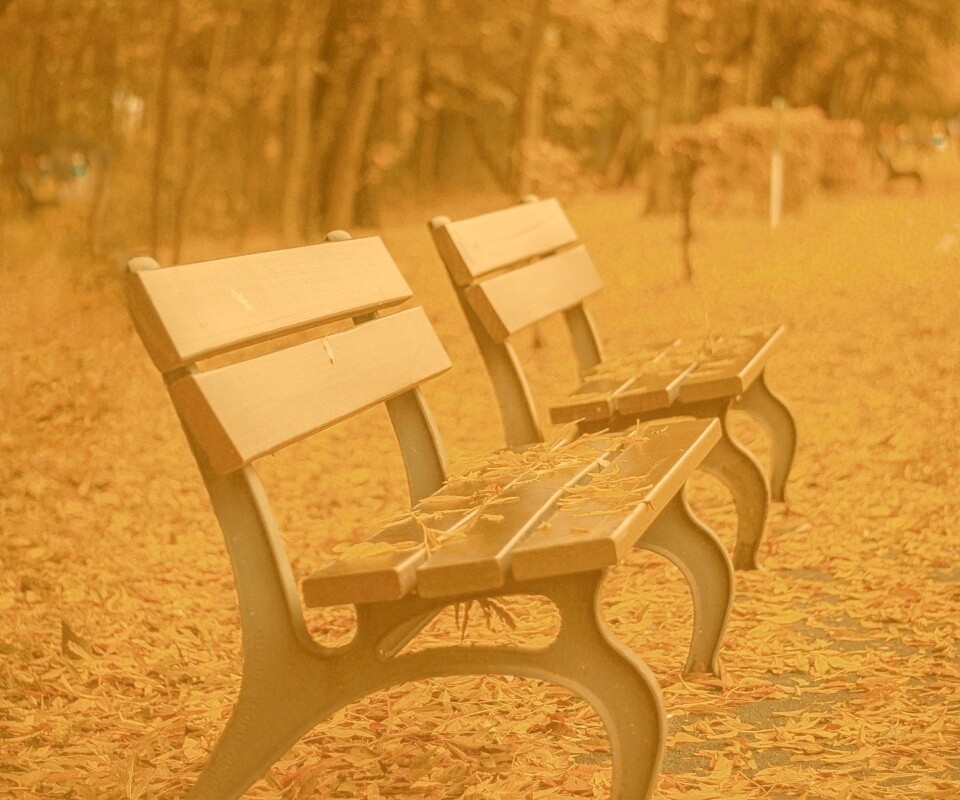 Лавочки в осеннем парке обои