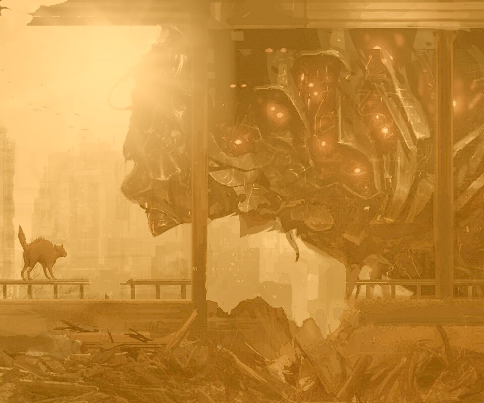 Кошкино удивление обои