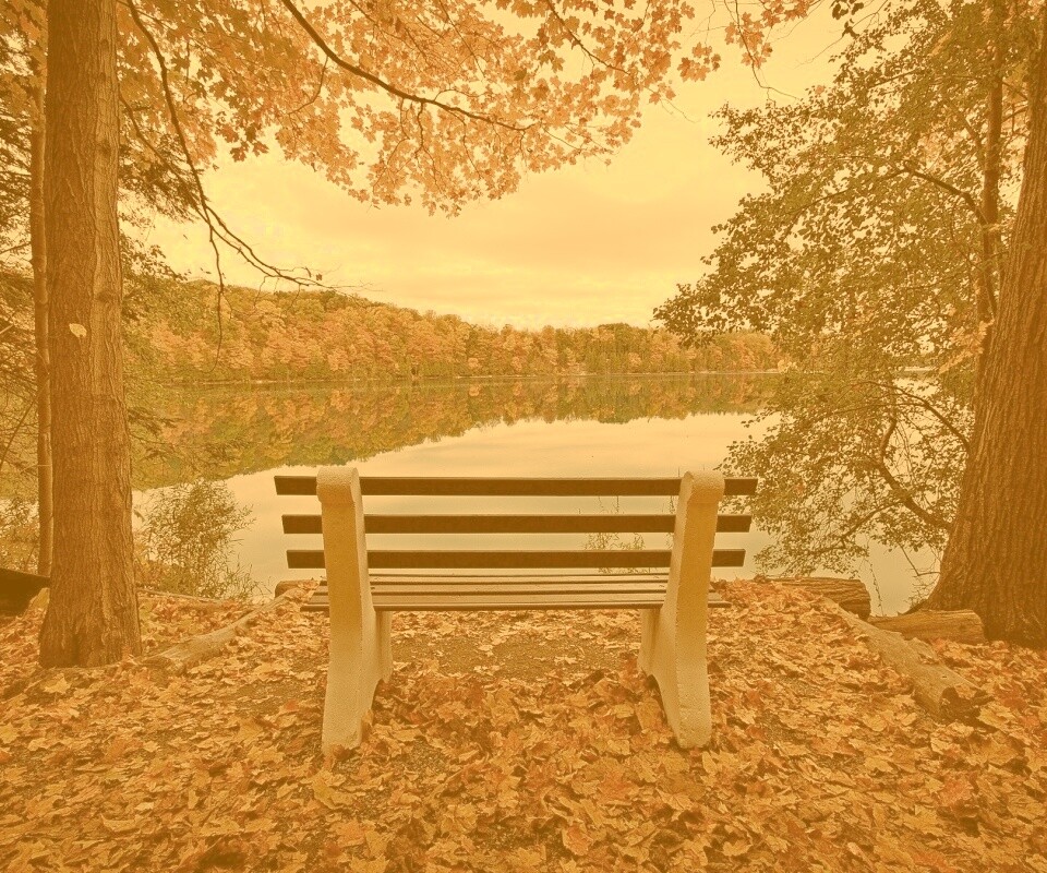 Вид на осеннее озеро обои