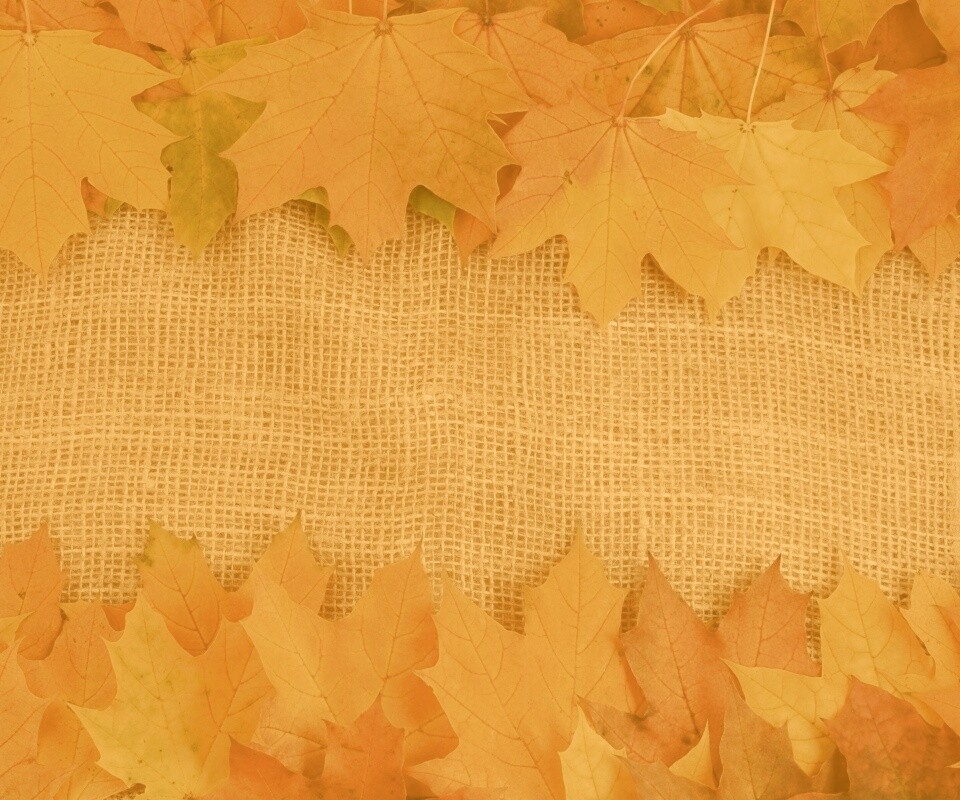 Желтые кленовые листья на холсте обои