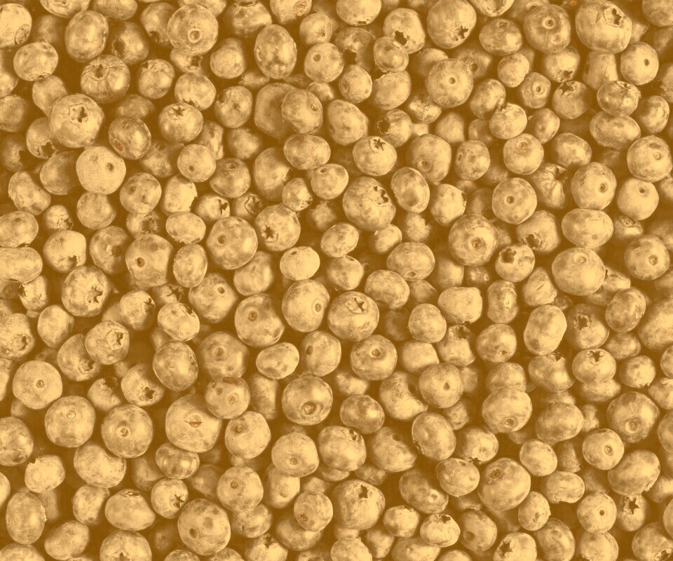 Черника обои