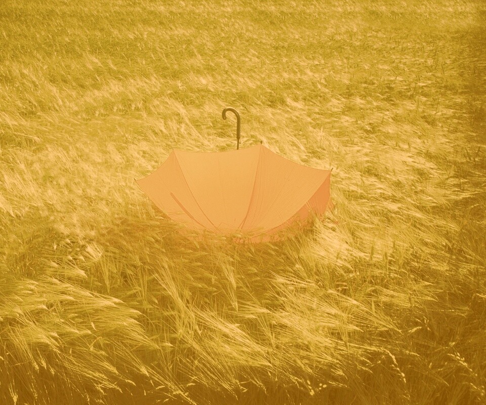 Зонт на траве обои