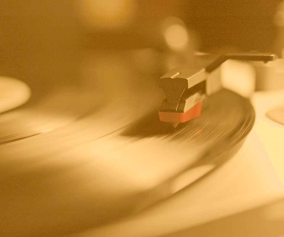 Пластинка обои