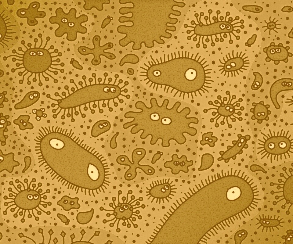 Микроорганизмы обои