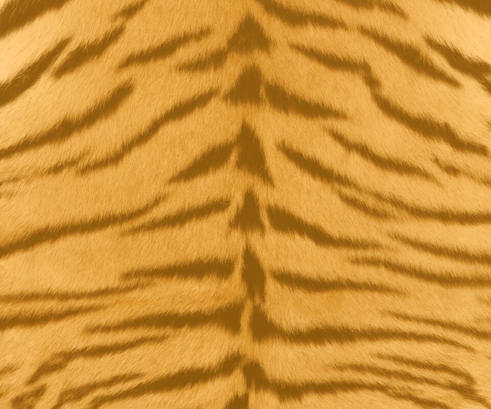 Тигриная шкура обои