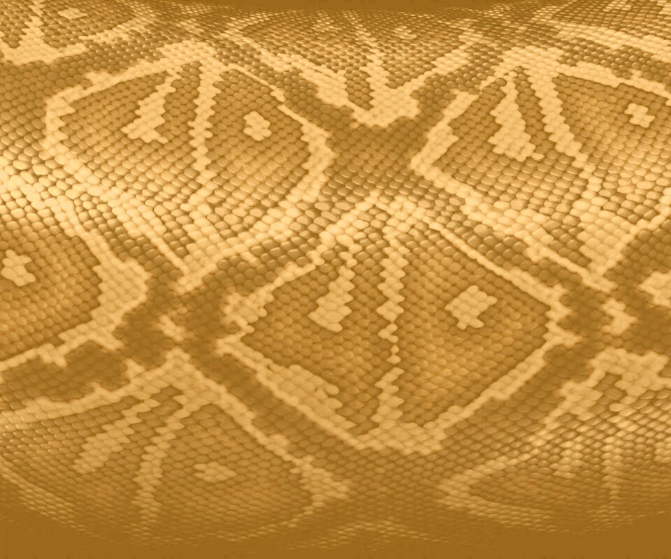 Змеиная кожа обои