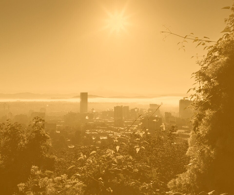 Утро в раю обои