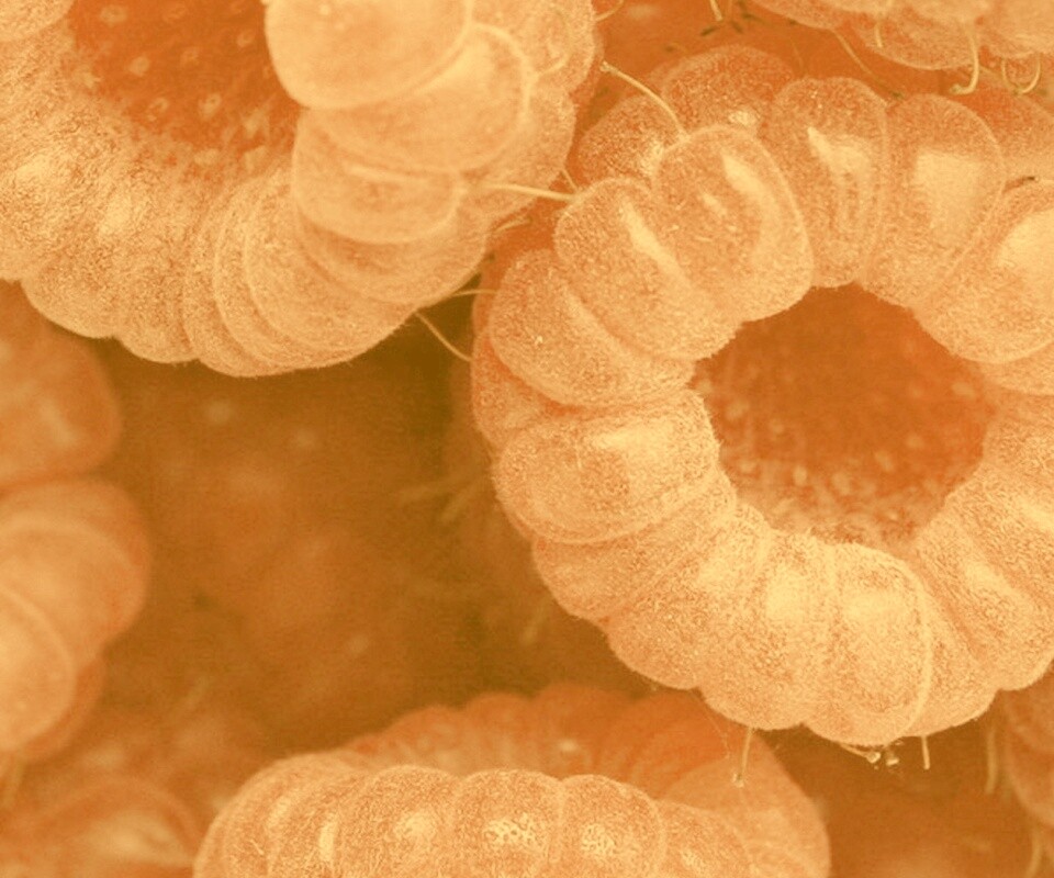 Малина обои