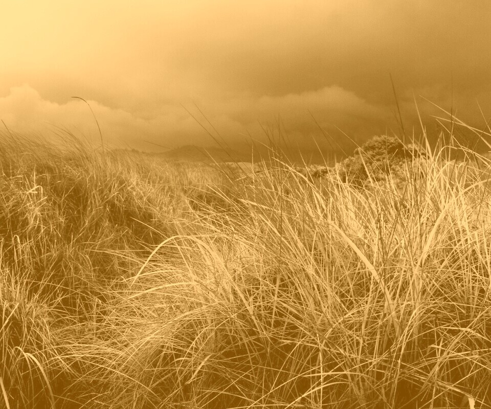 В ожидании шторма обои