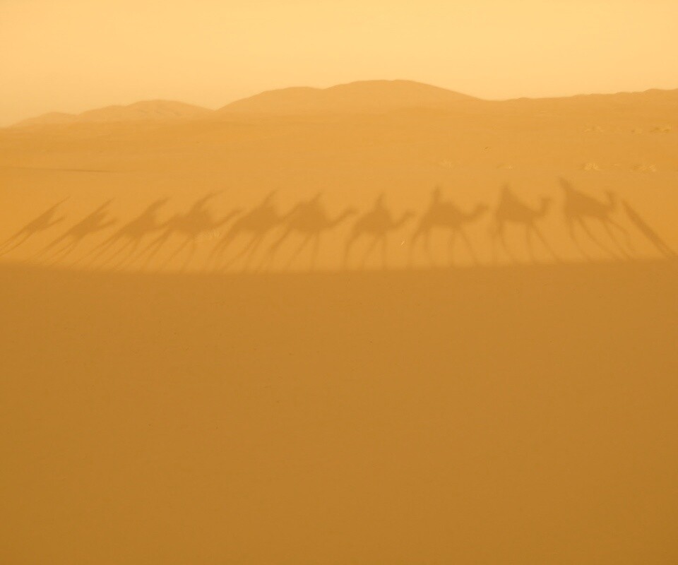 Караван обои