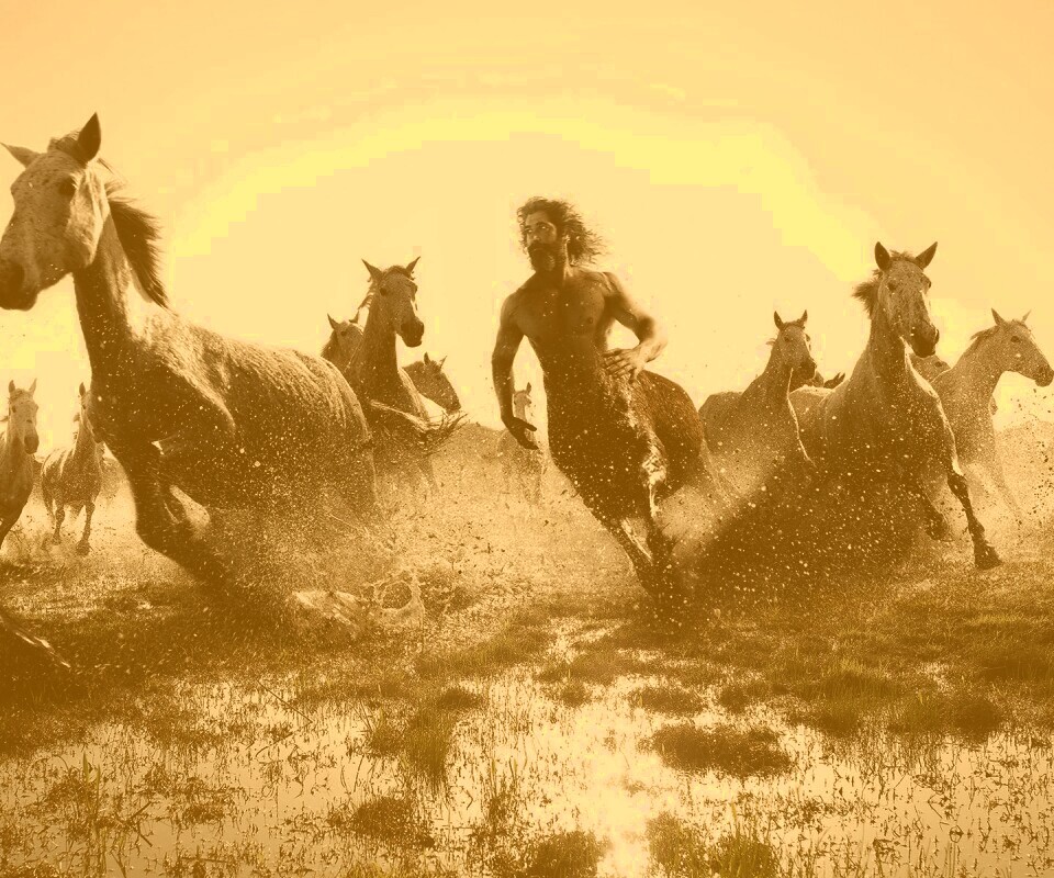 Кентавр обои