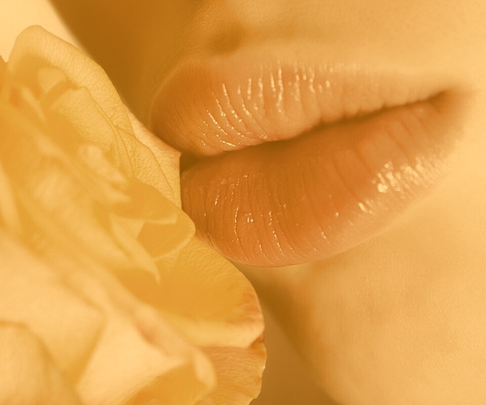 Губы девушки и роза обои