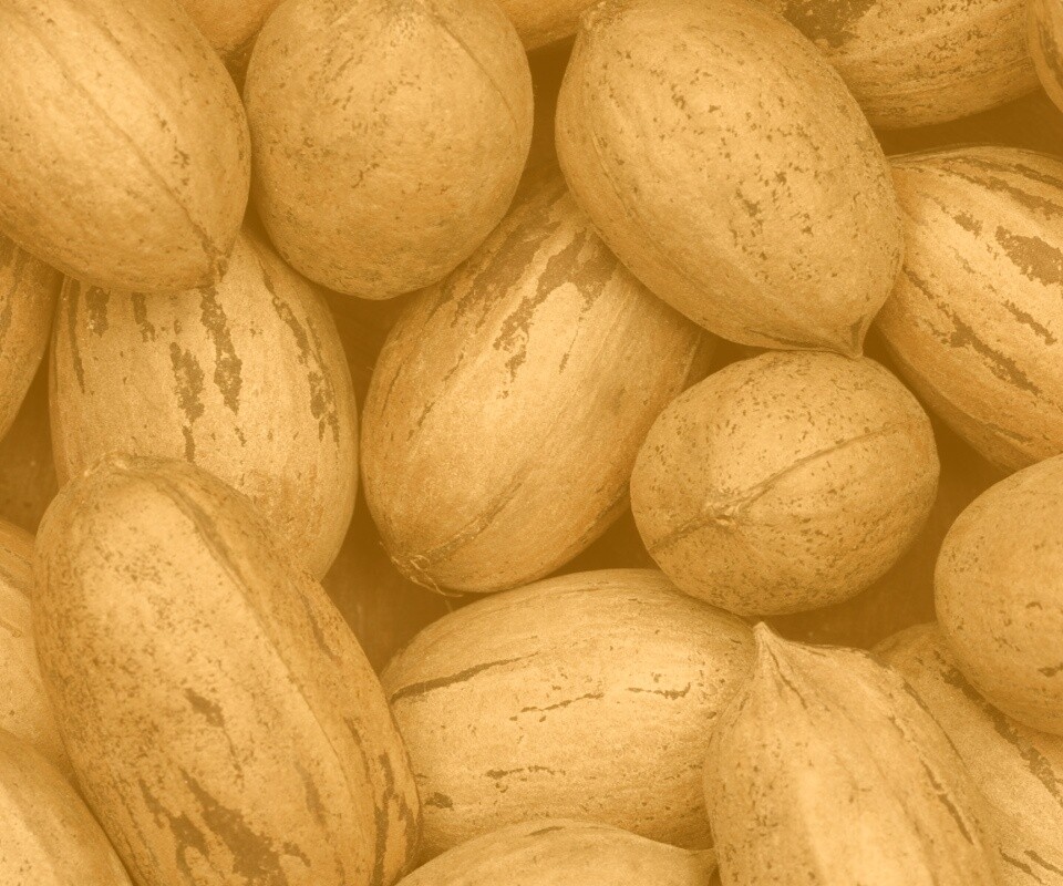 Грецкие орехи обои