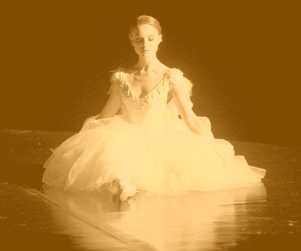 Черный лебедь обои