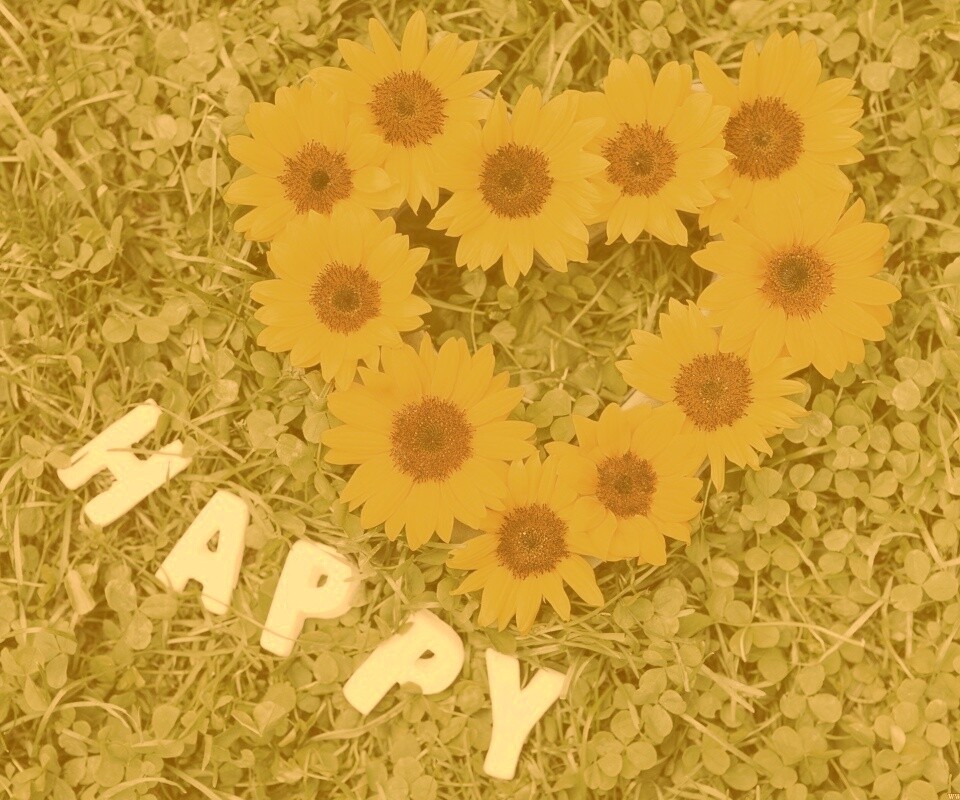 Радость обои