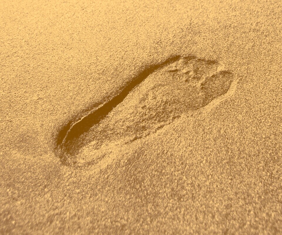 Отпечаток ноги обои