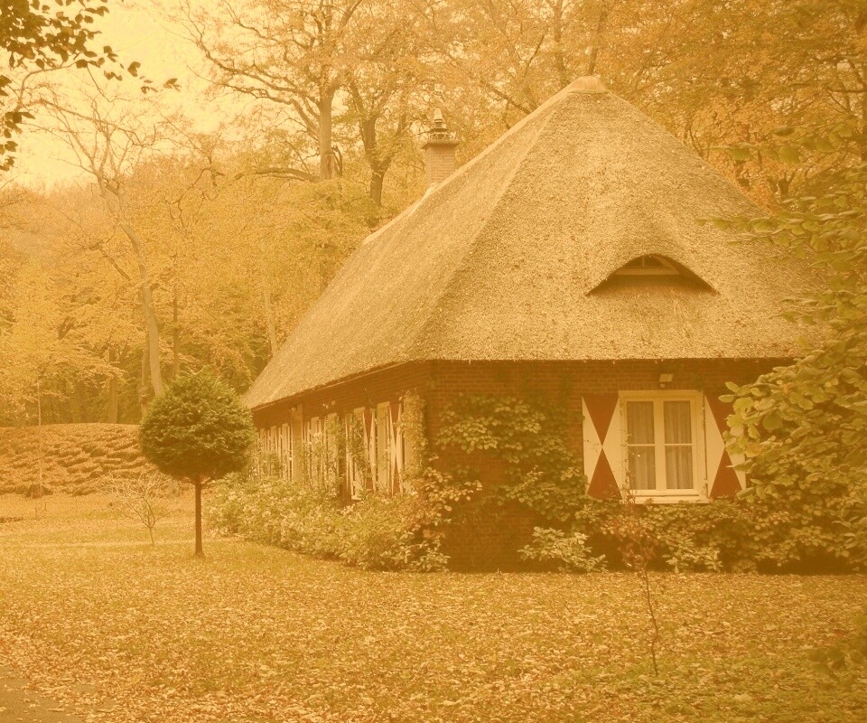Домик в осеннем лесу обои