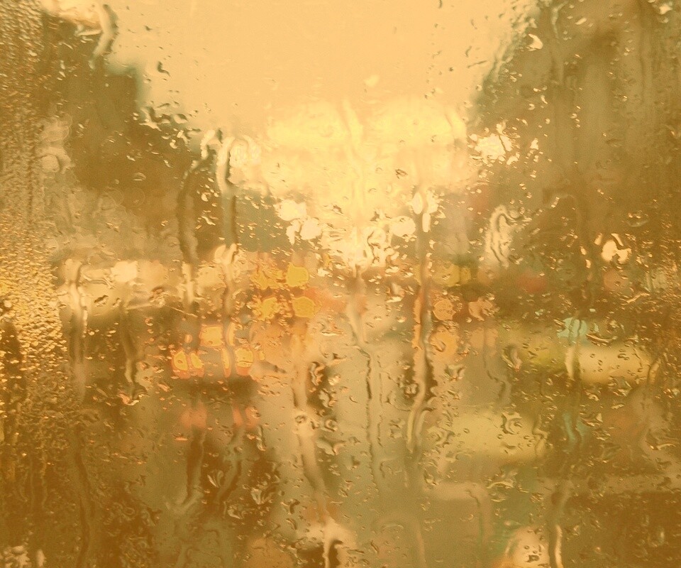 После дождя обои