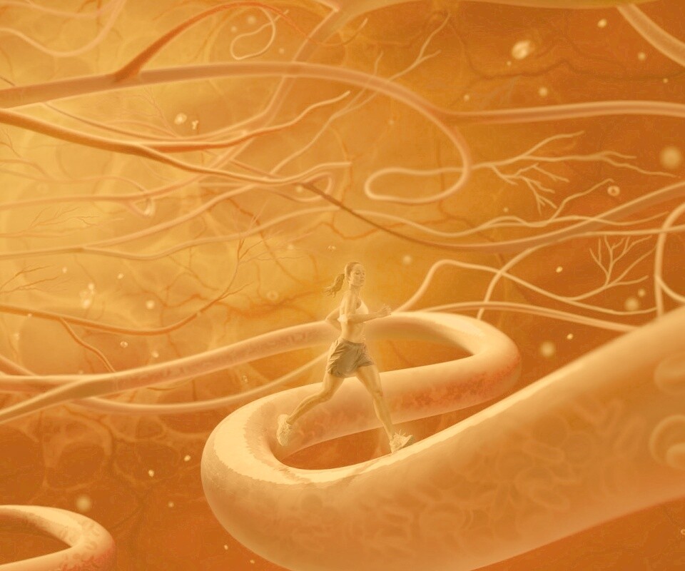 Бег крови обои