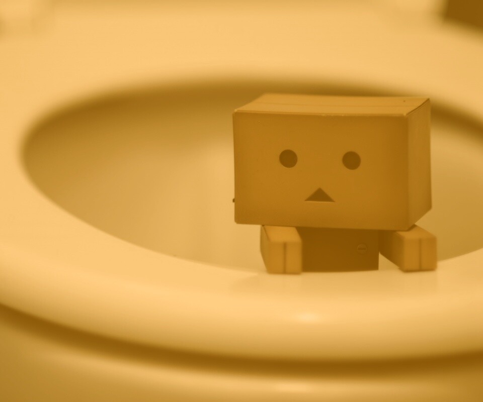 Danbo в унитазе обои