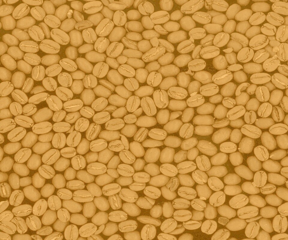 Зерна кофе обои