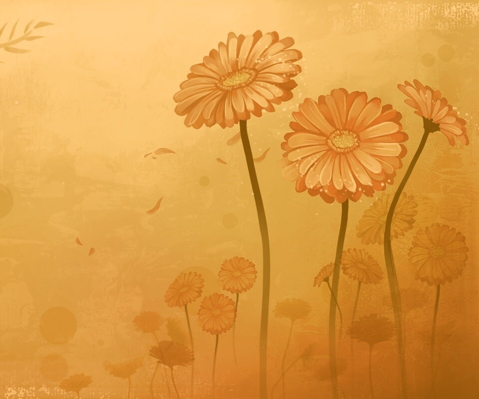 Векторные ромашки обои